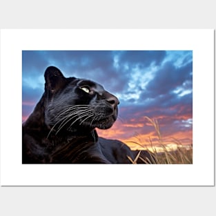 Panther Animal Nature Majestic Wild Posters and Art